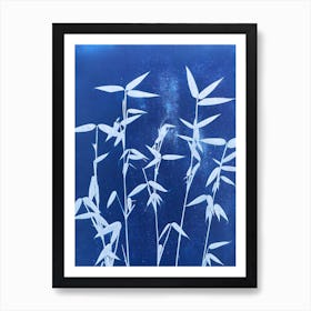 Blue Cyanotype Bamboo Print  Art Print