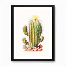 Rebutia Cactus Marker Art 1 Art Print