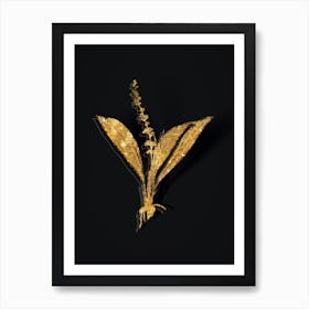 Vintage Peliosanthes Teta Botanical in Gold on Black Art Print