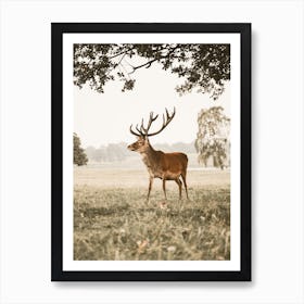 Deer With Antlers Art Print