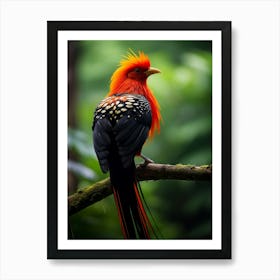 Emerald Eden: Andean Jungle Bird Decor Art Print