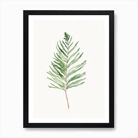 Douglas Fir Needle Leaf Minimalist Watercolour 1 Art Print