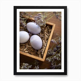 Eggs In A Wooden Box Art Print