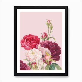 Vintage Pink Roses Art Print