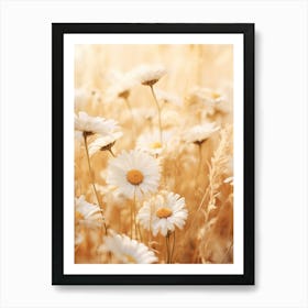 Boho Dried Flowers Oxeye Daisy 2 Art Print