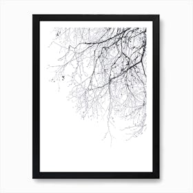 Black Branches 23 in Art Print