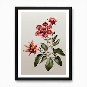 Beautiful Pomegranate Floral Art Print