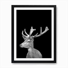Black and White Deer  Art Print