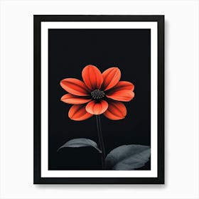 Red Flower On Black Background 4 Art Print