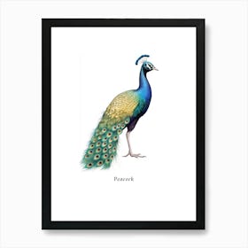 Peacock Kids Animal Poster Art Print