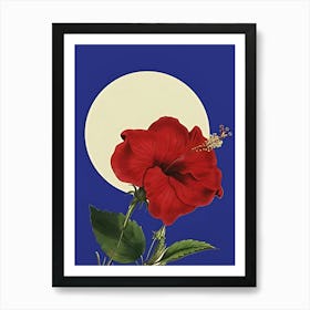 Hibiscus Flower 3 Art Print