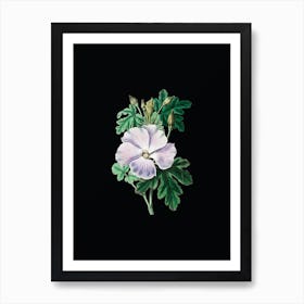Vintage Wray's Hibiscus Flower Botanical Illustration on Solid Black n.0399 Art Print