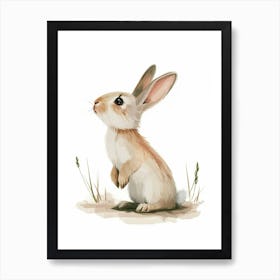 Californian Rabbit Kids Illustration 3 Art Print