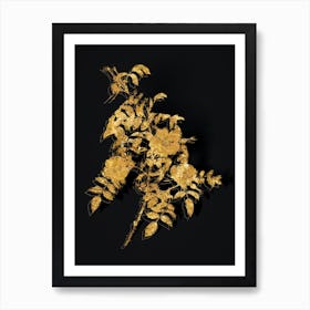 Vintage Reddish Rosebush Botanical in Gold on Black n.0495 Art Print