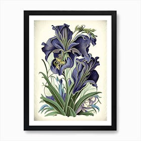 Iris Floral 2 Botanical Vintage Poster Flower Art Print