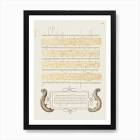 Caterpillars From Mira Calligraphiae Monumenta, Joris Hoefnagel Art Print