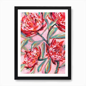 Waratah Painting Poster