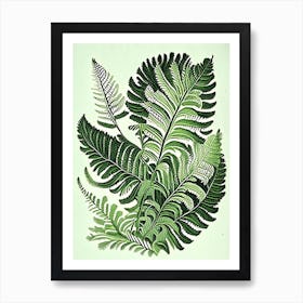 Lady Fern Vintage 3 Botanical Poster Art Print