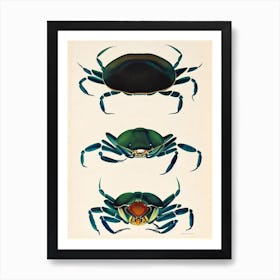 Blue Crab Vintage Poster Art Print