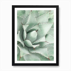 Agave X Art Print