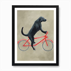 Black Labrador On Bicycle Art Print