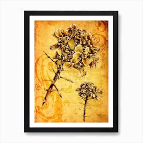 A Flower Nature Art Illustration In A Painting Style 07 Art Print