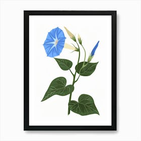 Morning Glory 3 Art Print