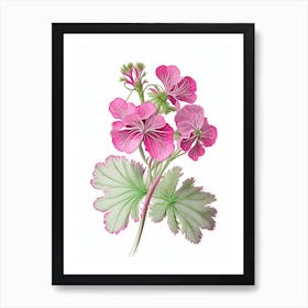 Geranium Floral Quentin Blake Inspired Illustration 2 Flower Art Print
