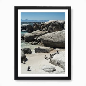 Boulders Beach Poster