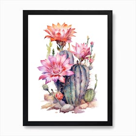 Stenocactus Cactus Watercolour Drawing 1 Art Print