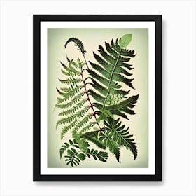 Japanese Climbing Fern 1 Vintage Botanical Poster Art Print