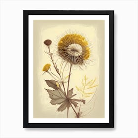 Dandelion Spices And Herbs Retro Drawing 1 Art Print