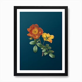 Vintage Sweetbriar Rose Botanical Art on Teal Blue n.0431 Art Print
