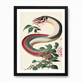 Chinese Cobra Snake Vintage Art Print