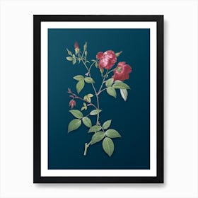 Vintage Velvet China Rose Botanical Art on Teal Blue n.0036 Art Print