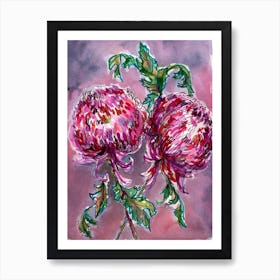 Double Dahlia Art Print