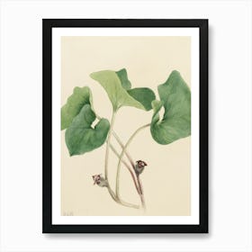 Ginkgo Biloba Art Print