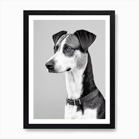 Plott Hound B&W Pencil Dog Art Print