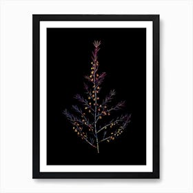 Stained Glass Sea Asparagus Mosaic Botanical Illustration on Black n.0145 Art Print