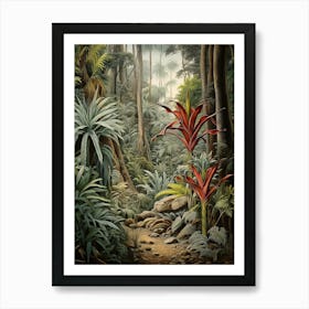 Vintage Jungle Botanical Illustration Bromeliads 2 Art Print