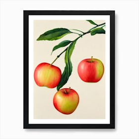 Apple 2 Watercolour Fruit Painting Fruit Art Print