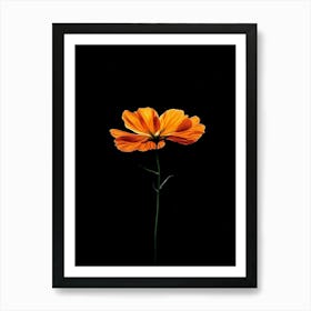 Cosmos 3 Art Print