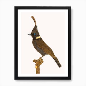 Birds V Art Print