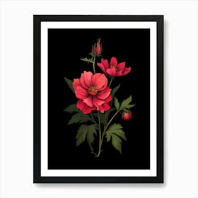 Red Cosmos Flowers Art Print