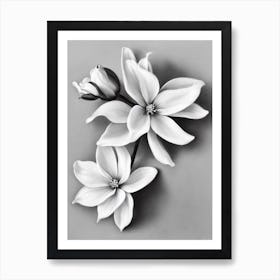 Statice B&W Pencil 2 Flower Art Print