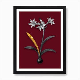 Vintage Amaryllis Black and White Gold Leaf Floral Art on Burgundy Red n.0214 Art Print