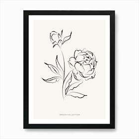 Bohemian Peony Art Print