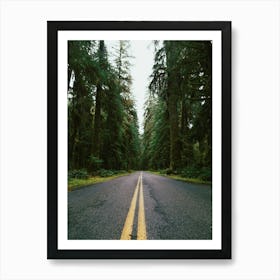 Pacific Northwest Rainforest Drive Art Print