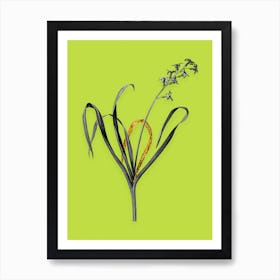 Vintage Dutch Hyacinth Black and White Gold Leaf Floral Art on Chartreuse n.0082 Art Print