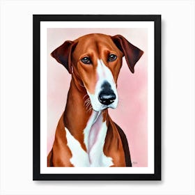 Ibizan Hound Watercolour Dog Art Print